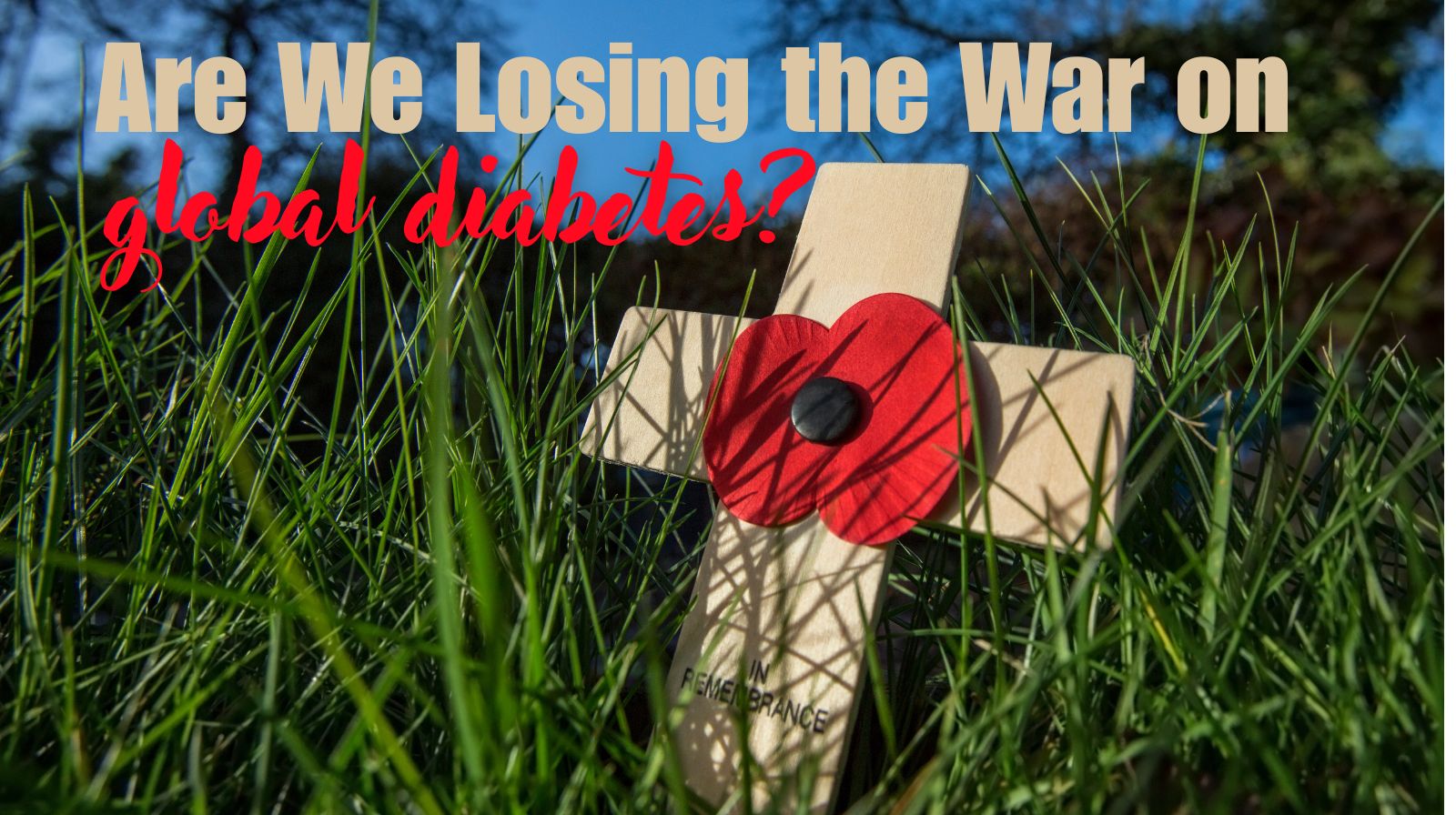 Why are we losing the image of a cross with red poppy to convey concept of loss from Type 2 Diabetes