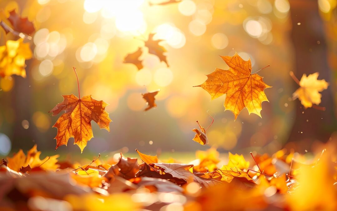 Autumn: Why This Season Quietly Shapes Your Winter Health